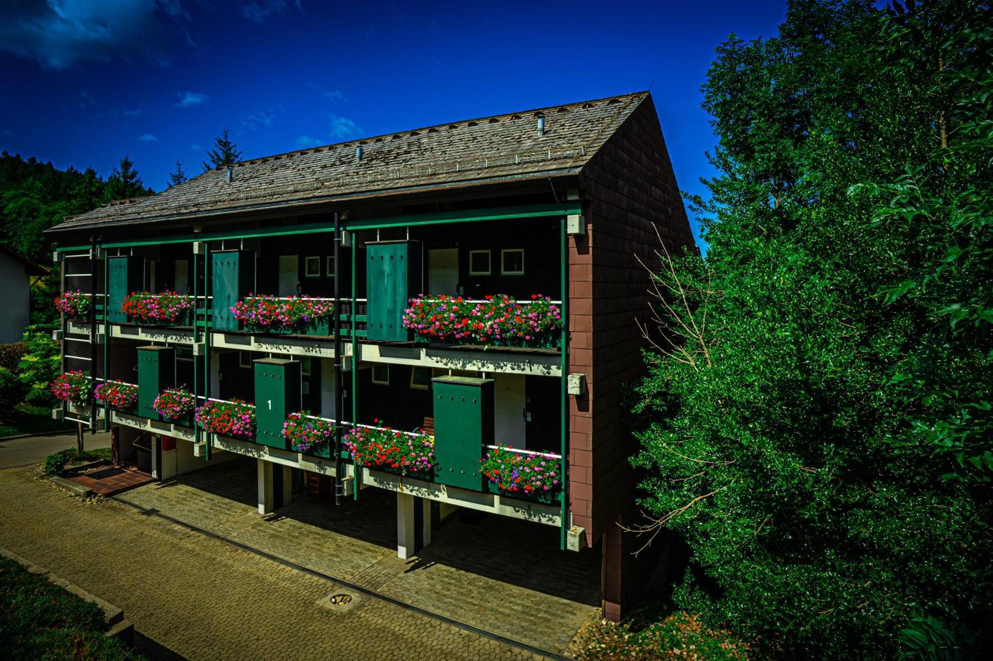 Natur Tanken Im Schwarzwald Sasbachwalden Extérieur photo
