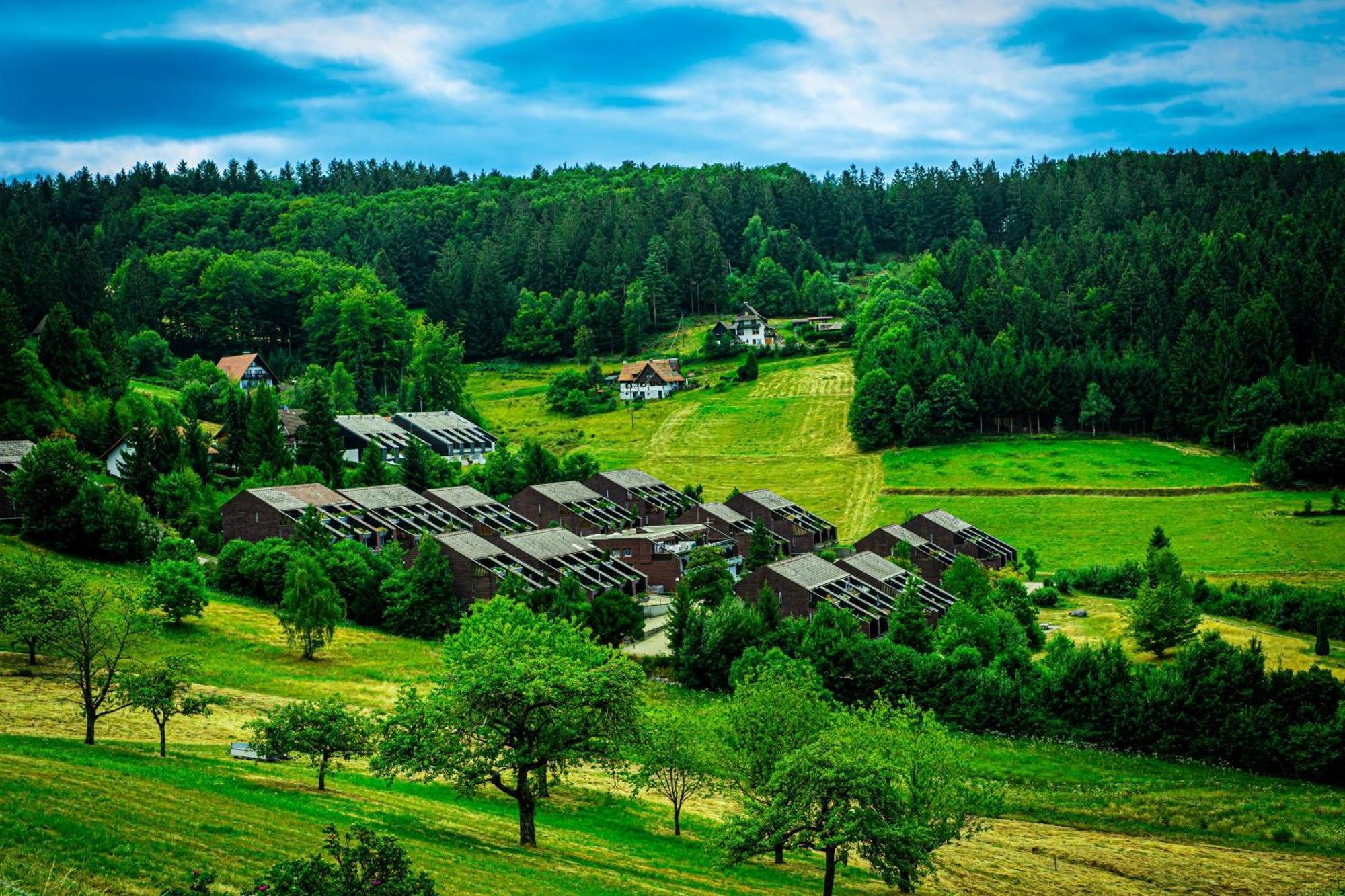 Natur Tanken Im Schwarzwald Sasbachwalden Extérieur photo